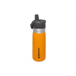 Thermal bottle Stanley, Go Iceflow Flip Straw Water Bottle 22oz / 650ml Saffron