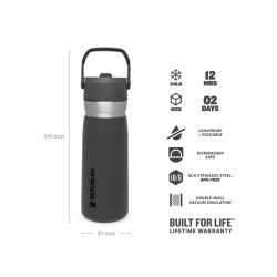 Thermoflasche Stanley, Go Iceflow Flip Straw Water Bottle 22oz / 650ml  Charcoal