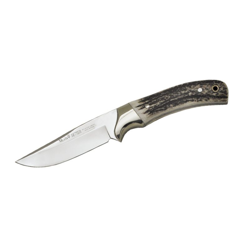 Muela Setter Stag 11A