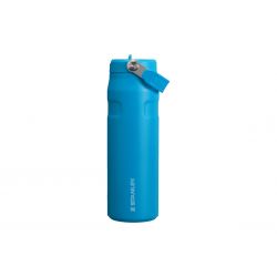 Stanley Iceflow Bottle Flip...