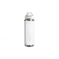 Stanley Classic Wellspring...