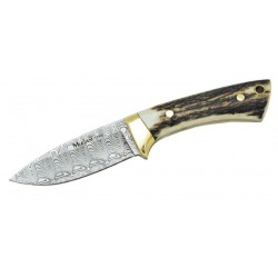 Coltello da collezione Colibri' in acciaio damascato, (collection knives).