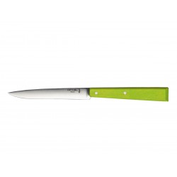 Knife opinel parallel, Green Steak knife.