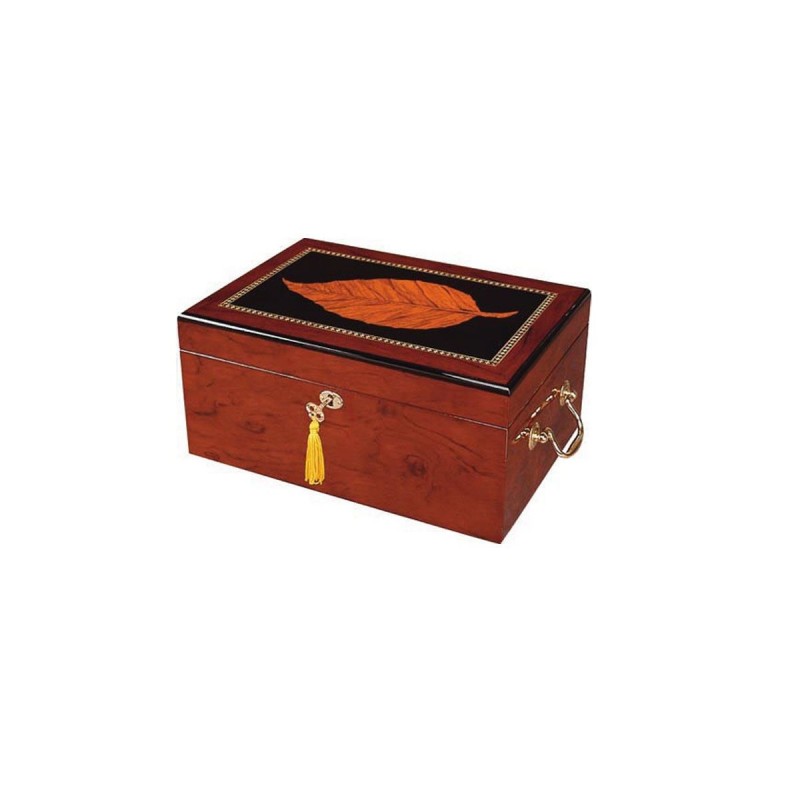 Quality Importers deauville cigar humidifier for 100 cigars, wooden table Humidor