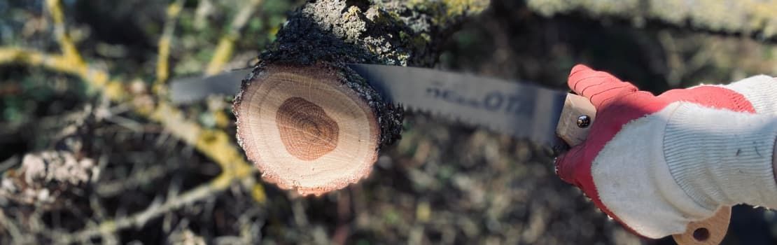 Handsägen für Holz, Campinglösungen